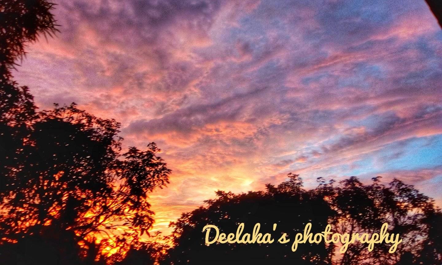 The evening sky
